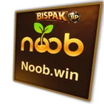 Noobapp Win
