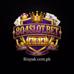 804Slot Game